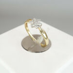 Bi color gouden ring met sterzetting