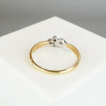 Bicolor gouden ring met 2 diamanten