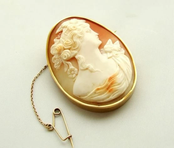 Gouden camee broche