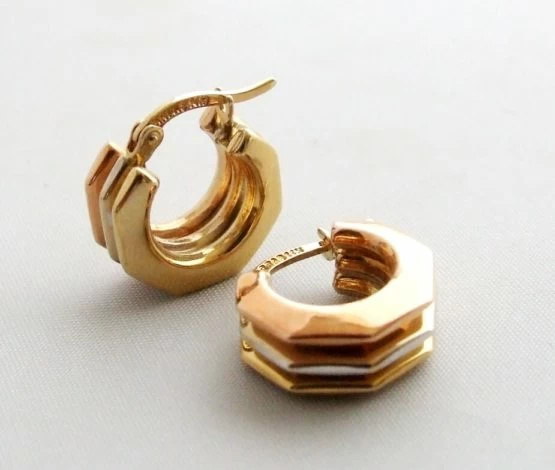 Occasion tricolor oorbellen