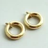 Gouden oorclips met veersluiting