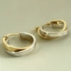 Gouden bicolor oorbellen