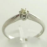 Christian 14 Karaat Wit Gouden Diamanten Ring