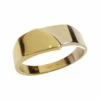14 karaat bicolor gouden cachet ring