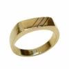 Tricolor gouden cachet ring