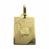 Geel gouden kreeft sterrenbeeld hanger