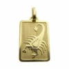 Gouden schorpioen sterrenbeeld hanger