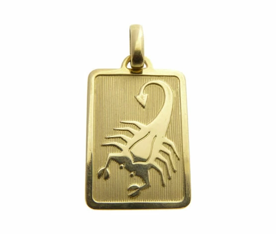 Gouden schorpioen sterrenbeeld hanger
