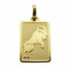 Gouden steenbok sterrenbeeld hanger