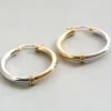 14 karaat gouden bicolor oorbellen