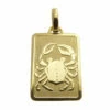 Gouden kreeft sterrenbeeld hanger
