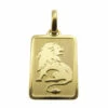 Gouden leeuw sterrenbeeld hanger