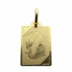 Gouden vissen sterrenbeeld hanger