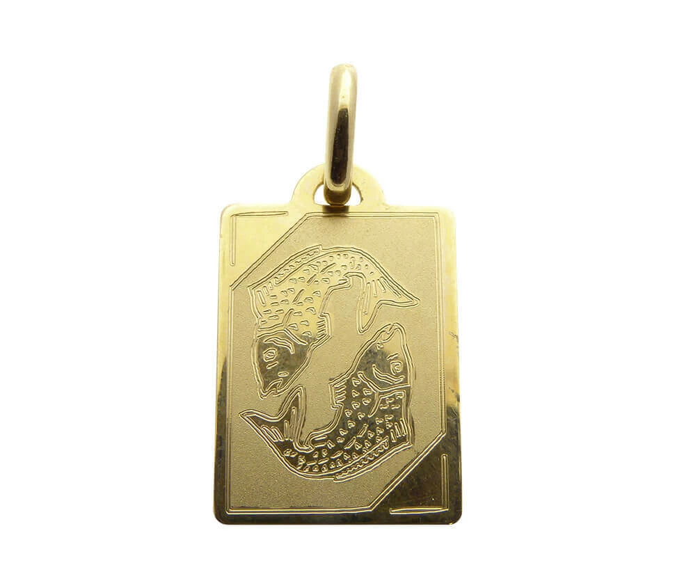 Gouden vissen sterrenbeeld hanger