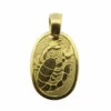 Geel gouden schorpioen sterrenbeeld hanger