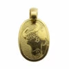 Geel gouden taurus sterrenbeeld hanger