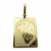 14 karaat geel gouden leeuw sterrenbeeld hanger