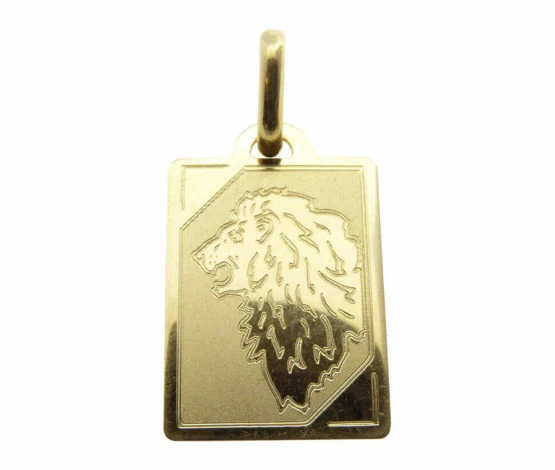 14 karaat geel gouden leeuw sterrenbeeld hanger 14 karaat geel gouden leeuw sterrenbeeld hanger