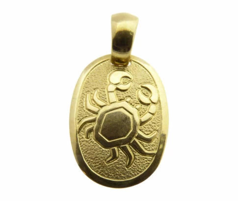 14 karaat gouden kreeft sterrenbeeld hanger