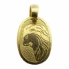 14 karaat gouden leeuw sterrenbeeld hanger