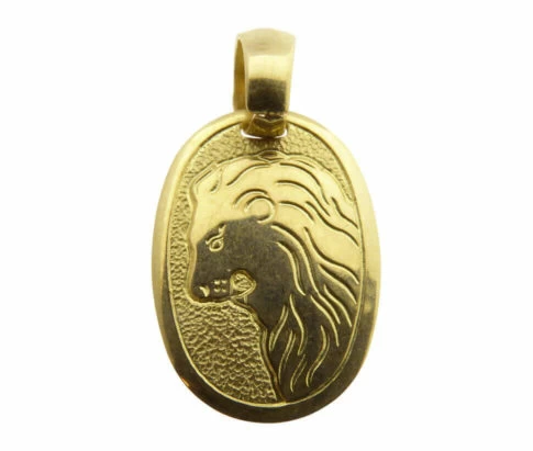 14 karaat gouden leeuw sterrenbeeld hanger