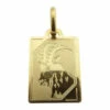14 karaat gouden steenbok sterrenbeeld hanger
