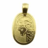 Geel gouden steenbok sterrenbeeld hanger