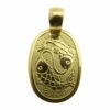Geel gouden vissen sterrenbeeld hanger