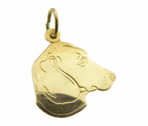 Gouden hond hoofd hanger
