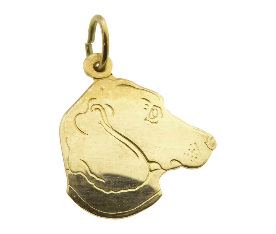 Gouden hond hoofd hanger
