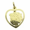 Gouden jongens hoofd hanger