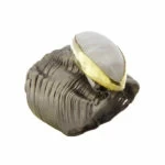 Zilveren agaat ring
