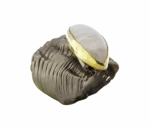 Zilveren agaat ring