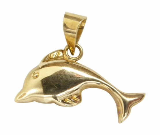 Gouden dolfijn hanger