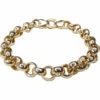14 karaat geel gouden jasseron armband