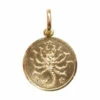 14 karaats gouden schorpioen sterrenbeeld hanger