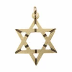 Geel Gouden David Ster Hanger