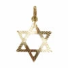 Gouden David ster hanger