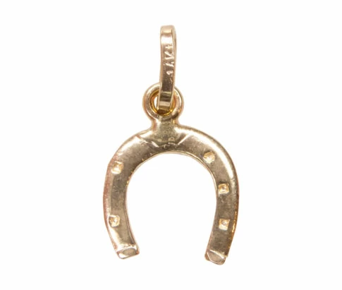 Gouden hoefijzer hanger