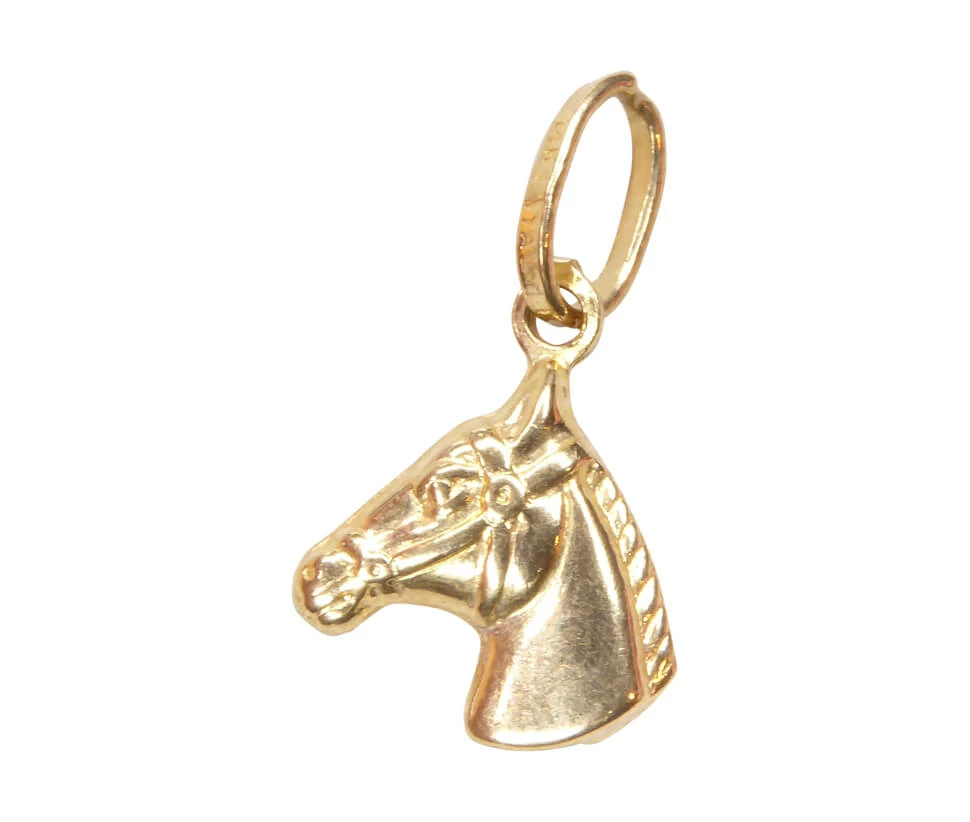 Gouden paardenhoofd hanger
