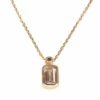 Rose gouden ketting met hanger