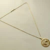 Gouden vissen sterrenbeeld hanger met ketting