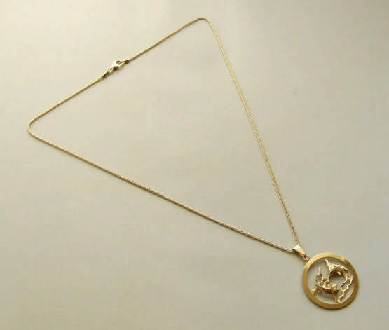 Gouden vissen sterrenbeeld hanger met ketting